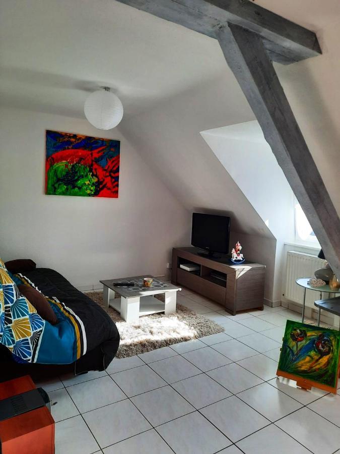 Appartement Spacieux A Ingersheim Avec Vue Sur Jardin 100 M² Exteriör bild