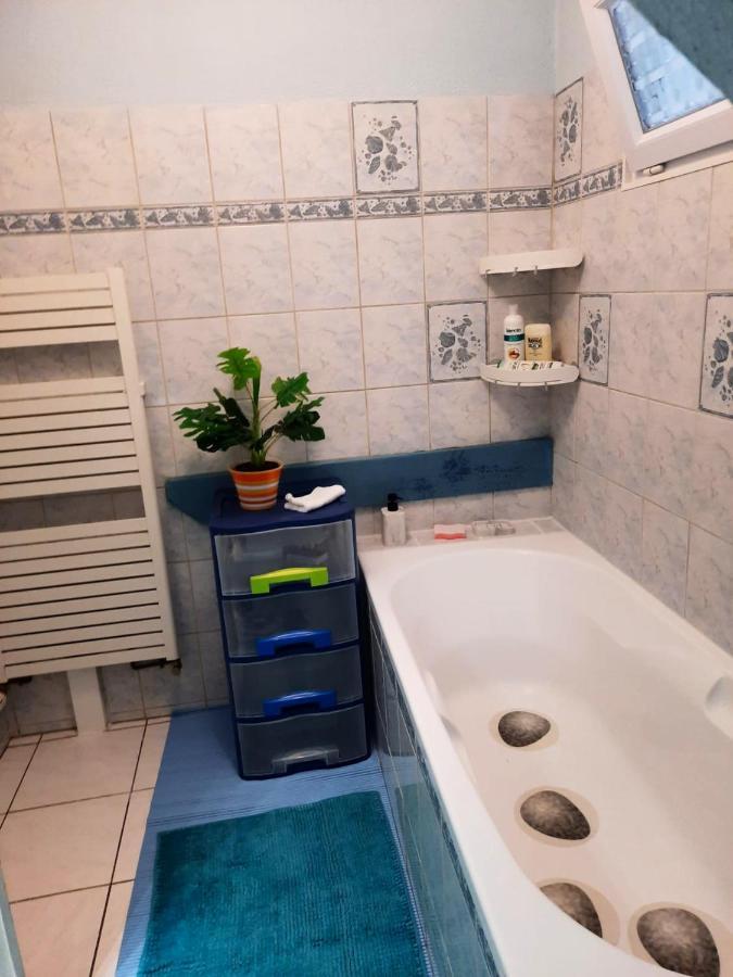 Appartement Spacieux A Ingersheim Avec Vue Sur Jardin 100 M² Exteriör bild